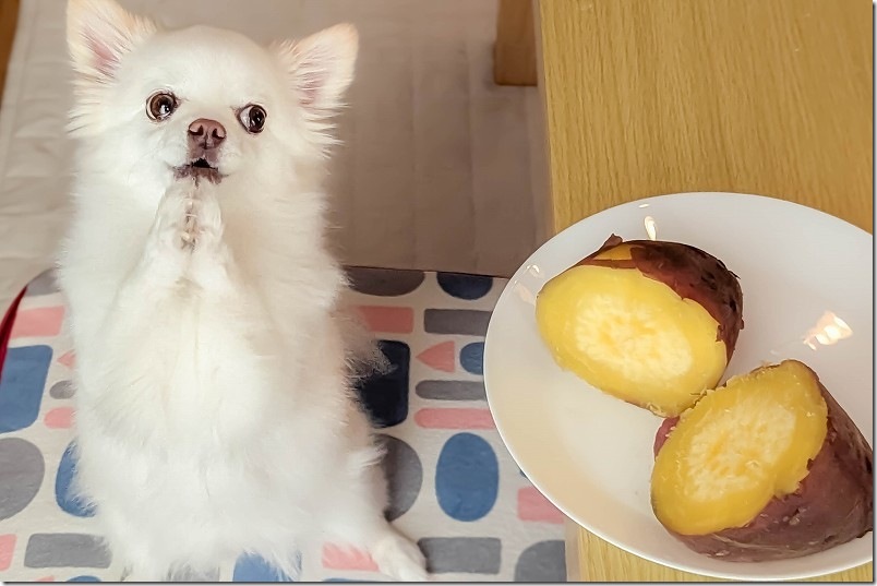 収穫したシルクスイートを炊飯器で蒸した