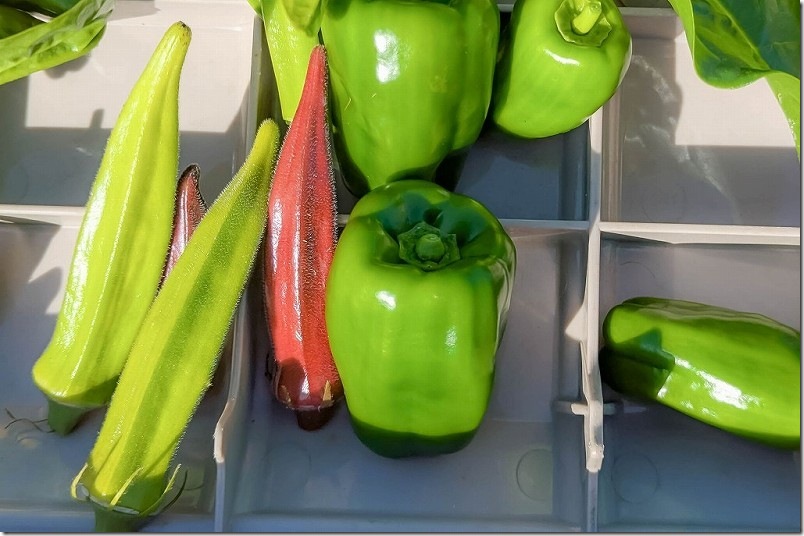 11/6 最後に収穫した赤オクラと角オクラ