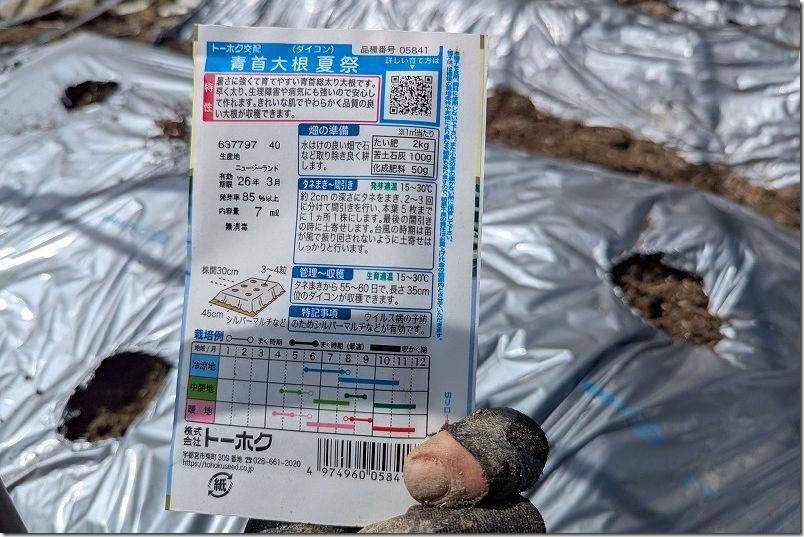 青首大根 夏祭りの種 特徴