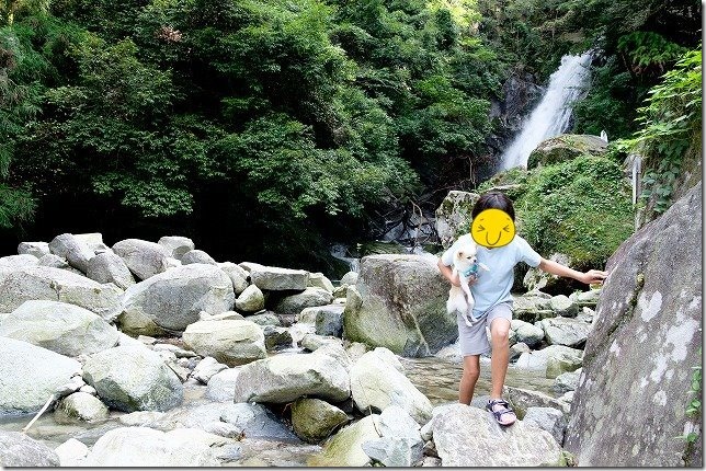 福岡市早良区,坊主ヶ滝で犬と水遊び