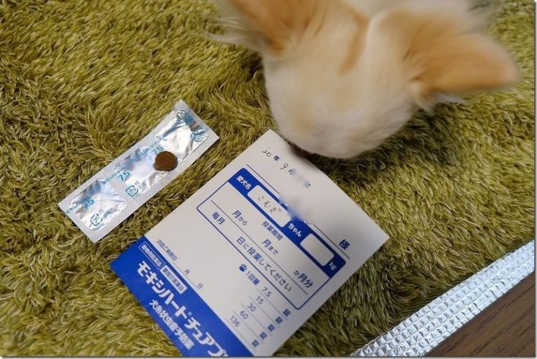 モキシクリスのリーフレット