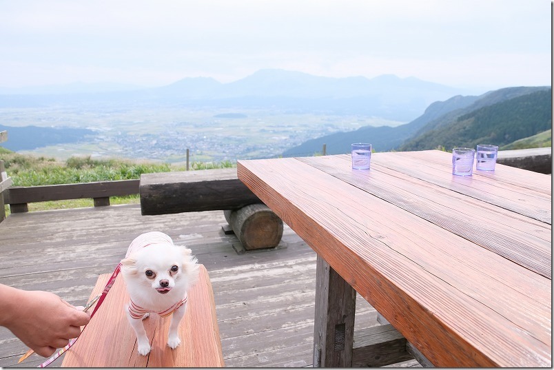 レストラン北山のテラス席で犬と食事（あか牛丼）、阿蘇
