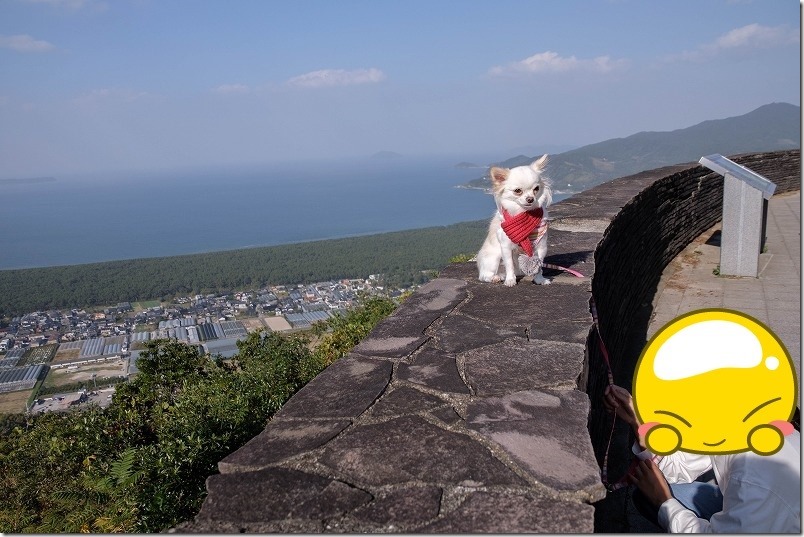 鏡山、ひれふり展望台からの展望と犬・チワワ