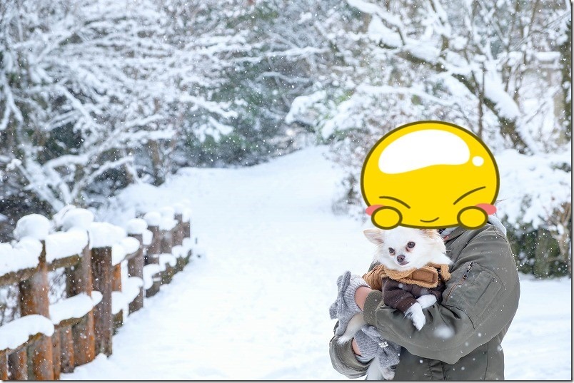福岡も雪景色、チワワの「こむぎ」とお散歩（野河内渓谷）