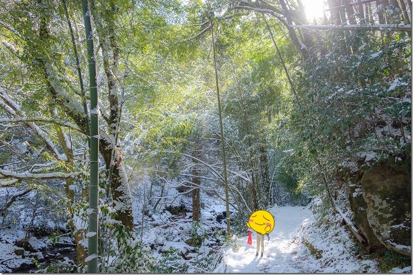 野河内渓谷の雪景色、福岡市早良区