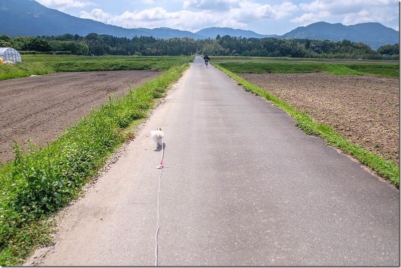 脇山中央公園の周辺を犬と子供と散歩、田畑の道