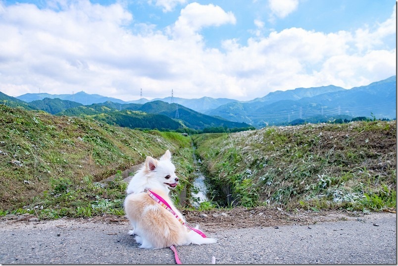 脇山中央公園の周辺を犬と散歩、きれいな山々