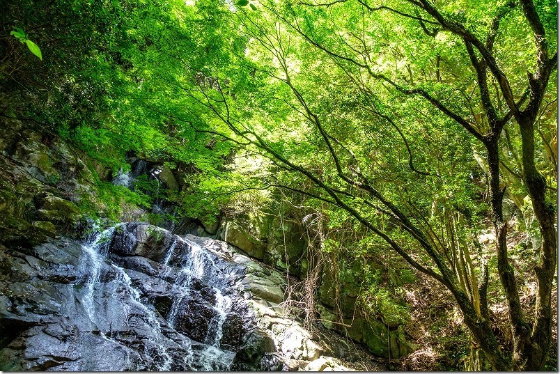 糸島・千寿院の滝と緑