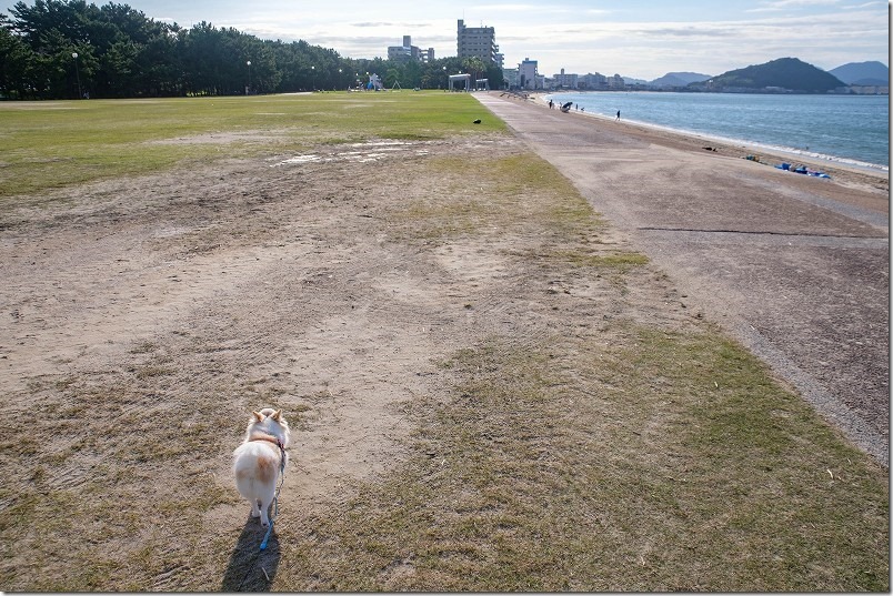 今宿「長垂海浜公園」を犬のお散歩