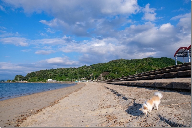 今宿「長垂海浜公園」の海と犬、チワワ散歩