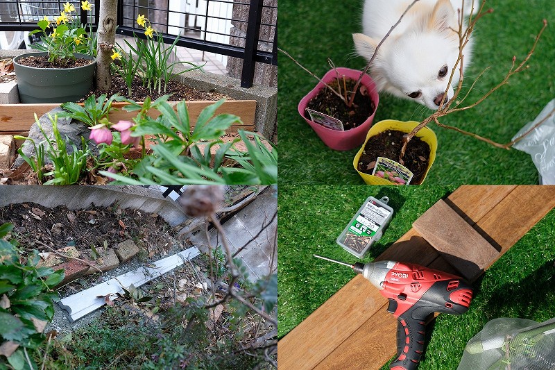 DIY　ハードウッド・イペで花壇を作る（ブルーベリーを移植）