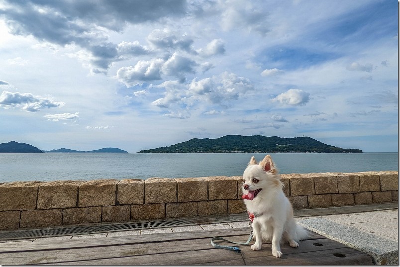 福岡市西区の小戸公園に犬と散歩、海