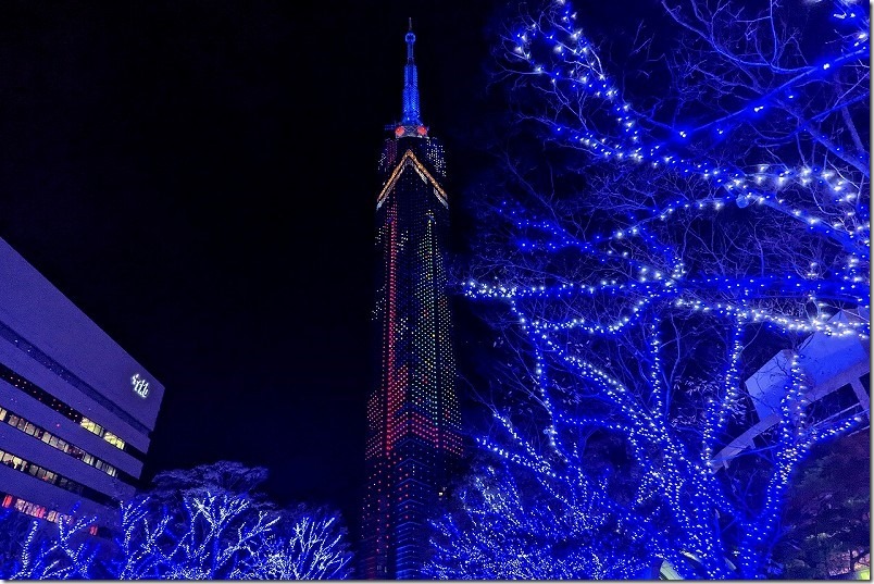 福岡タワーのクリスマスイルミネーション