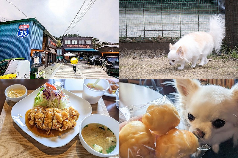 ドッグラン・ドッグカフェで犬とランチ　ドッグキャンパーレストアオヤギ（福岡県古賀市）