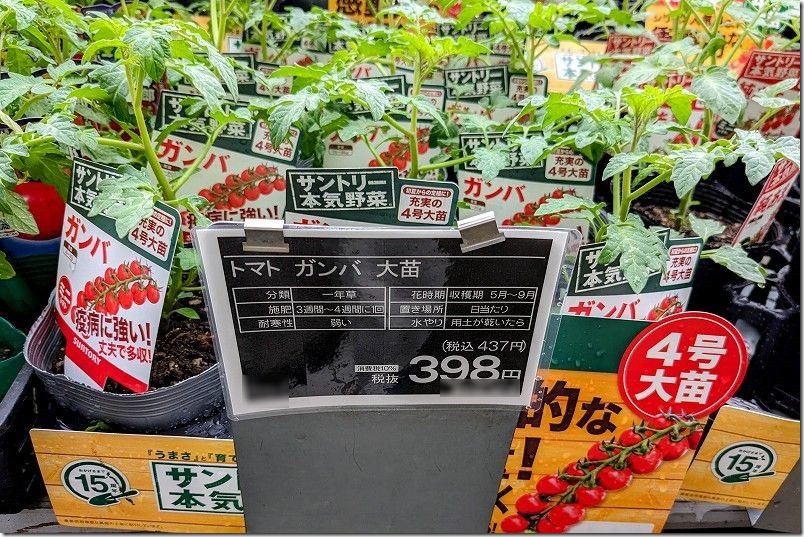 サントリー本気野菜、トマト、ガンバの苗を購入