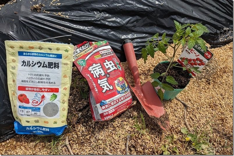 中玉トマト、ルビーノの植え付け・定植。病気、防虫対策