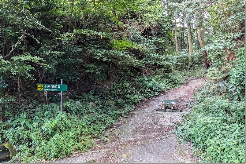 糸島、千寿院の滝の遊歩道