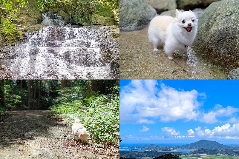 糸島　千寿院の滝を犬と散策・水遊び