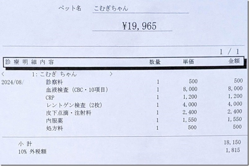 犬の寒暖差・夏バテによる体調不良の診察費・治療費