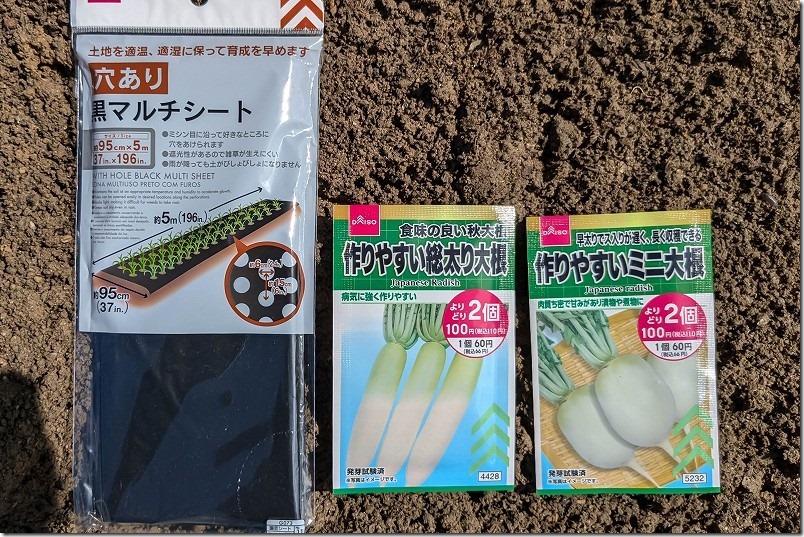 DAISO 作りやすいミニ大根・作りやすい総太り大根の種