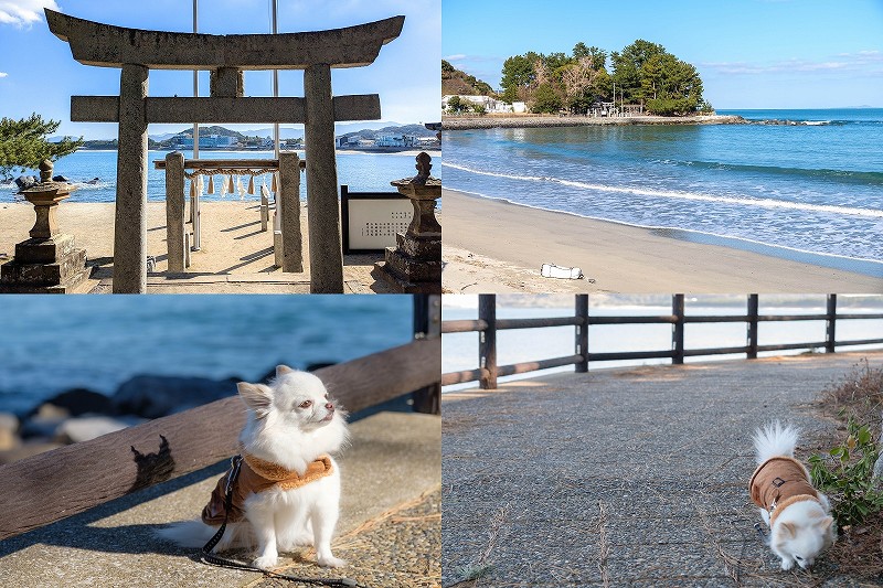 今津津舟崎 白山神社参拝と周辺の糸島海辺を散策