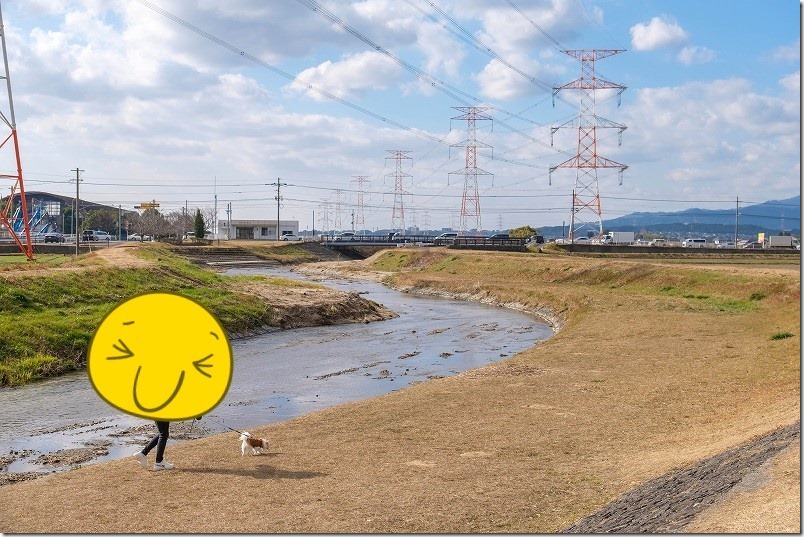 藁ゴジラの周辺を犬と散策(福岡県朝倉郡筑前町 安の里公園)