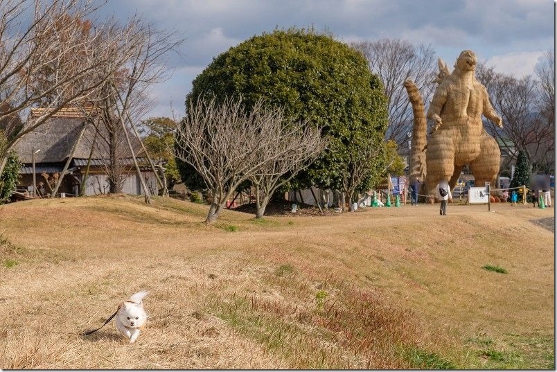 藁ゴジラから逃げる犬（チワワ）(福岡県朝倉郡筑前町 安の里公園)