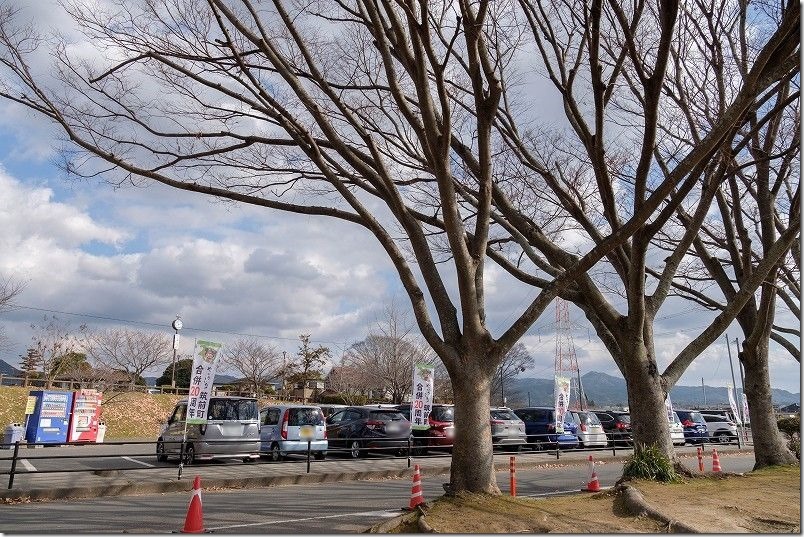 安の里公園の駐車場・臨時駐車場（藁かかし・藁ゴジラ）