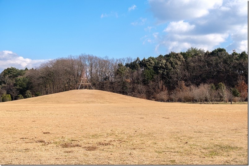 日田市 田来原美しい森づくり公園 エレンの墓標を模したモニュメントのある木