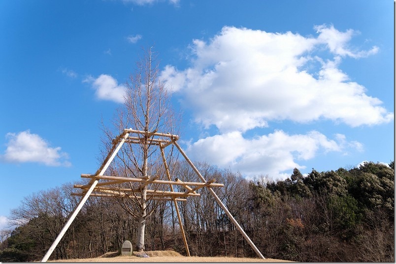 日田市 田来原美しい森づくり公園 エレンの墓標を模したモニュメントのある木