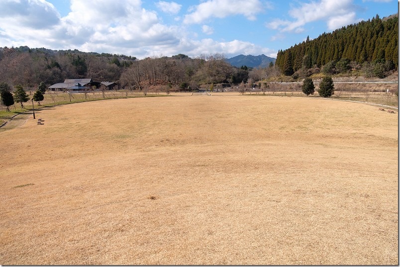 田来原美しい森づくり公園の広大な芝生広場