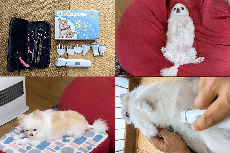 すきバサミ と バリカン で犬トリミング【初めての犬バリカン】