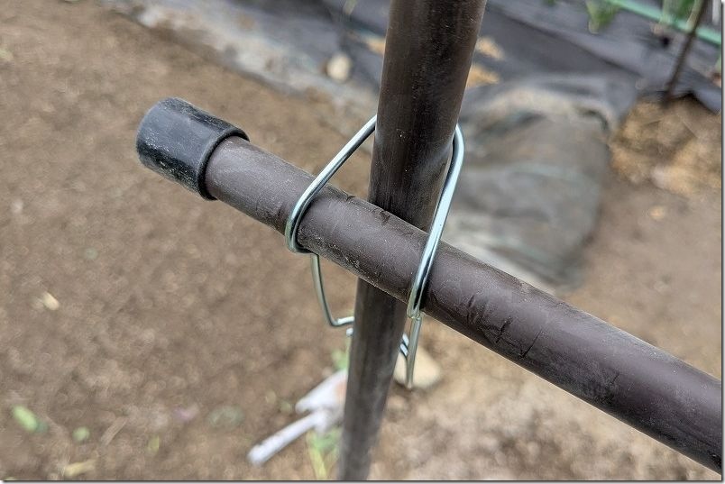 カインズ トマト菜園セットの組み立て 支柱組み立て フックバンド