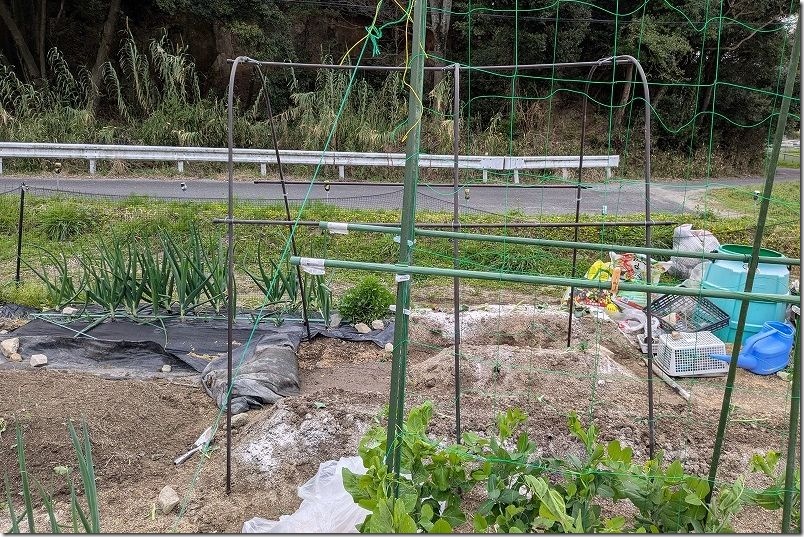 カインズ トマト菜園セットの組み立て 支柱組み立て完了