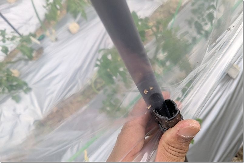 カインズ トマト菜園セットの組み立て 雨よけビニール設置