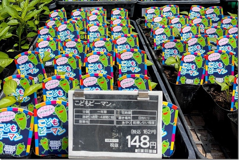 こどもピーマンの特徴
