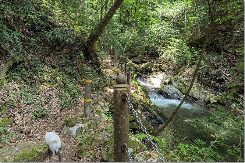 野河内渓谷 遊歩道の終点 風涼峡まで犬と散策