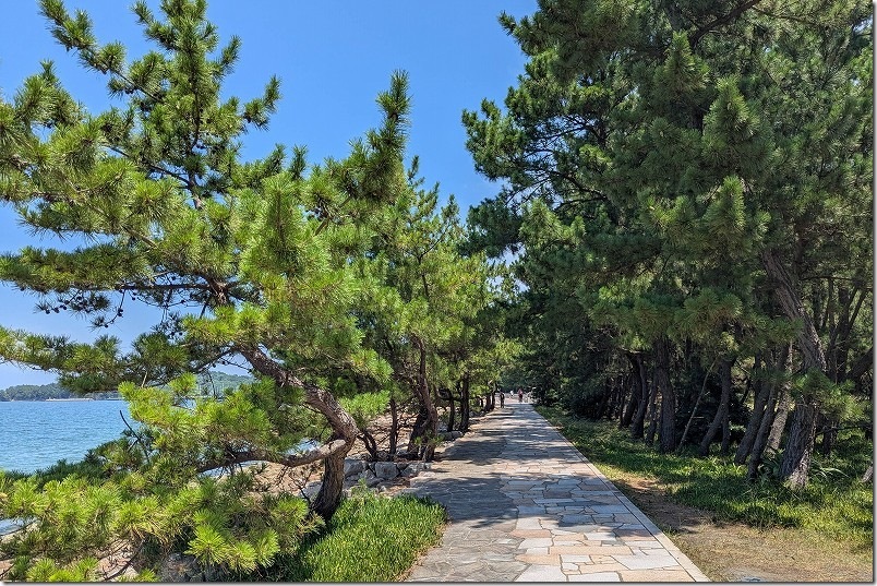生の松原 海沿い遊歩道