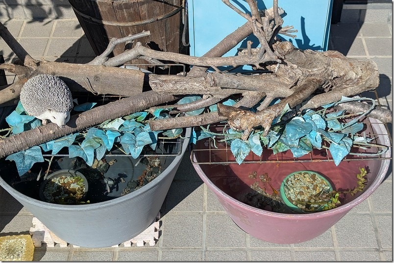 メダカ鉢をおしゃれに装飾し日陰作り【フェイク植物や石、木など利用】