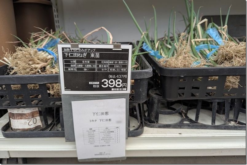 下仁田ネギの干しネギ購入 価格