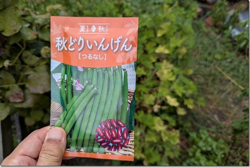 「秋どり つるなしいんげん」 8月種まき カーニバル