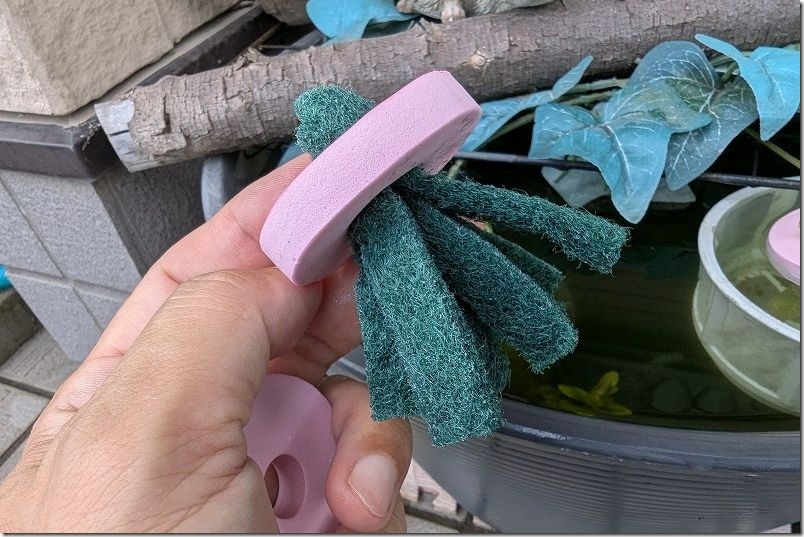 メダカの産卵【ダイソーの産卵床と浮き輪を使用】 メダカの産卵【ダイソーの産卵床と浮き輪を使用】