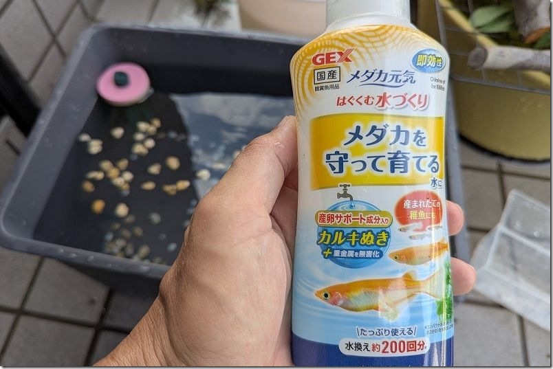 針子のメダカの水作り GEX メダカ元気 はぐくむ水づくりを使用 針子のメダカの水作り GEX メダカ元気 はぐくむ水づくりを使用