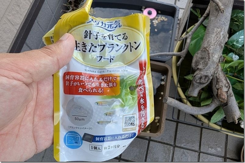 針子のメダカの餌 GEX メダカ元気 生きたプランクトンフードを使用 針子のメダカの餌 GEX メダカ元気 生きたプランクトンフードを使用