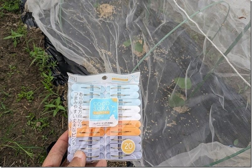 トンネル栽培や行灯仕立てに使用した100均のアイテム 洗濯バサミ トンネル栽培や行灯仕立てに使用した100均のアイテム 洗濯バサミ