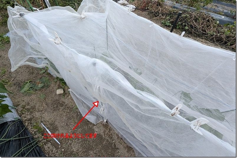 不織布で大型の囲みの作成方法 センターで開閉可 作物の手入れが楽