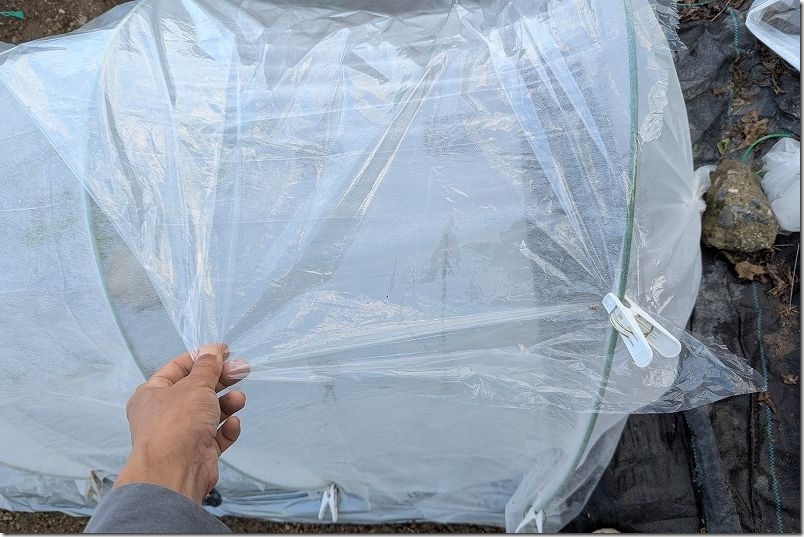100均 透明マルチでトンネル栽培 トンネルの組立方法 100均 透明マルチでトンネル栽培 トンネルの組立方法