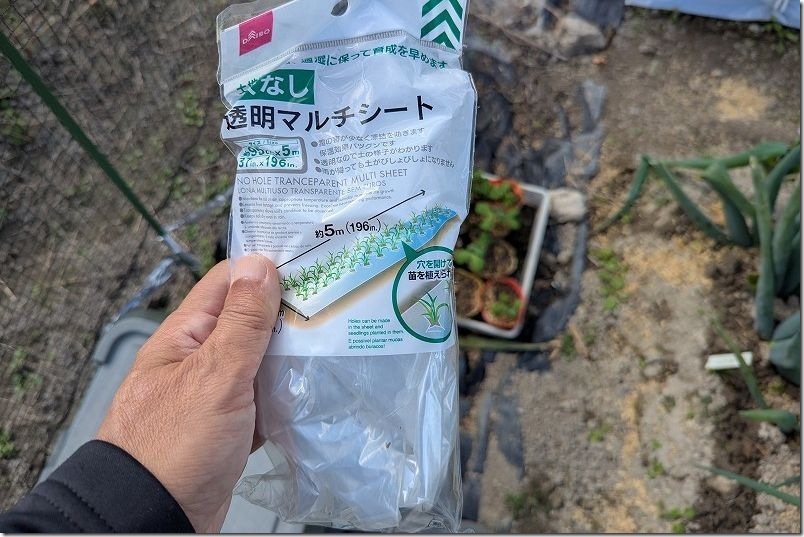 トンネル栽培や行灯仕立てに使用した100均のアイテム 透明マルチシート トンネル栽培や行灯仕立てに使用した100均のアイテム 透明マルチシート