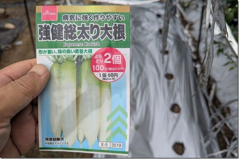 9/20 ダイソーの強健総太り大根 種まき 9/20 ダイソーの強健総太り大根 種まき
