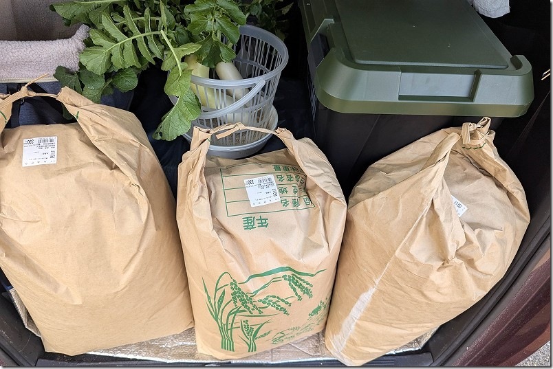 籾殻を撒く 下仁田ネギの間に雑草避け、土寄せ用 籾殻を撒く 下仁田ネギの間に雑草避け、土寄せ用